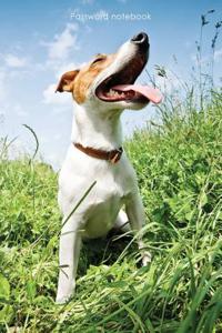 Password Notebook: Large Internet Address and Password Logbook / Journal / Diary - Jack Russell Terrier Cover