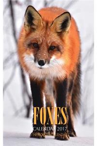 Foxes Pocket Monthly Planner 2017