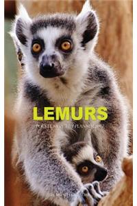 Lemurs Pocket Monthly Planner 2017