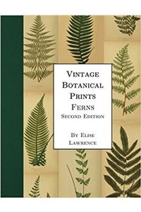 Vintage Botanical Prints: Ferns