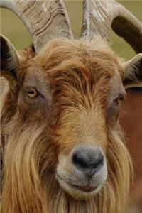 Say Hello to the Billy Goat Journal