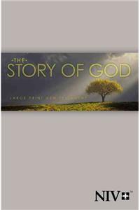 NIV the Story of God New Testament