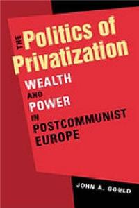 Politics of Privatization