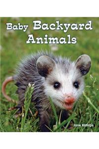 Baby Backyard Animals
