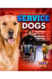 Service Dogs