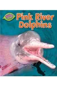 Pink River Dolphins