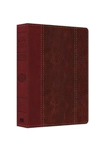 Large Print Study Bible-KJV