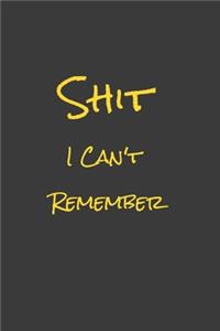 Shit I Can't Remember