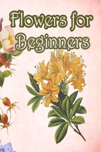 Flowers for Beginners