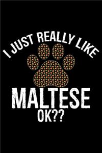I Just Really Like Maltese Ok?