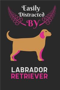 Easily Distracted by Labrador Retriever