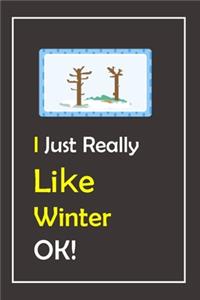 I Just Really Like Winter, OK !