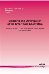 Modeling and Optimization of the Smart Grid Ecosystem