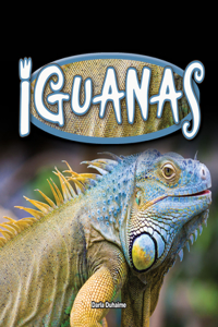 Iguanas