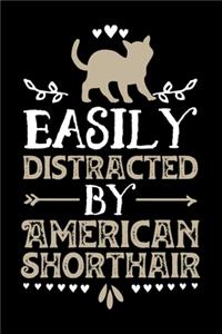 Easily Distracted By American Shorthair