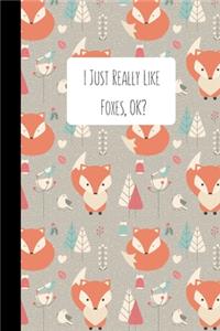 I Just Really Like Foxes, OK?