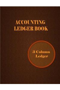 Accounting Ledger Book