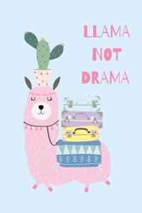 Llama Notebook