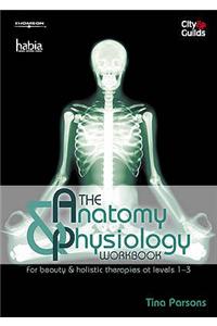 The Anatomy & Physiology Workbook