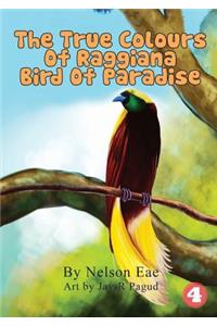 True Colours Of Raggiana Bird Of Paradise