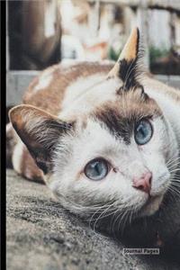 Journal Pages - Cat Face Smile (Bullet Journal)