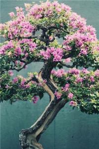 Bonsai Notebook