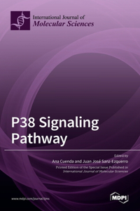 P38 Signaling Pathway