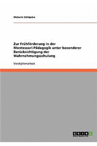 Zur Frühförderung in der Montessori-Pädagogik unter besonderer Berücksichtigung der Wahrnehmungsschulung