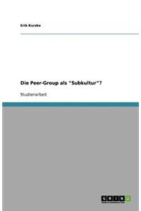 Die Peer-Group als Subkultur?