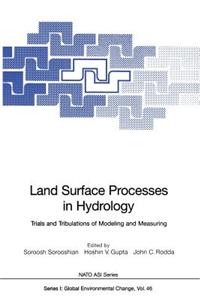 Land Surface Processes in Hydrology