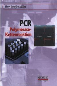 PCR - Polymerase-Kettenreaktion