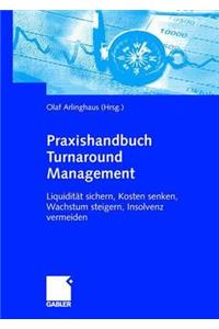 Praxishandbuch Turnaround Management