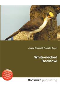 White-Necked Rockfowl