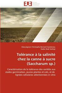Tol?rance ? La Salinit? Chez La Canne ? Sucre (Saccharum Sp.)
