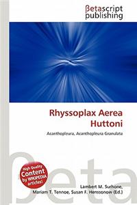 Rhyssoplax Aerea Huttoni