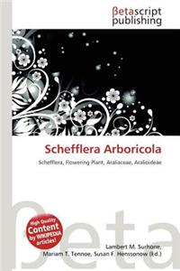 Schefflera Arboricola