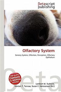 Olfactory System