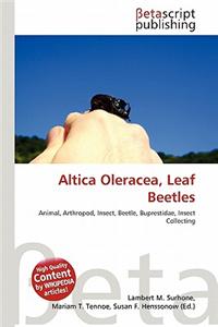 Altica Oleracea, Leaf Beetles