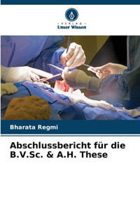 Abschlussbericht für die B.V.Sc. & A.H. These