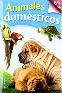 Animales domesticos / Pets