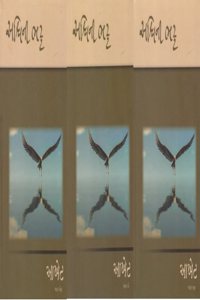 Aakhet 3 Book Set Ashwini Bhatt