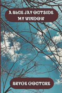A Blue Jay Outside My Window