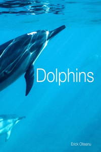 Dolphins