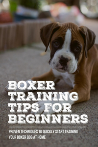 Boxer Training Tips For Beginners