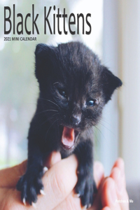 Black Kittens Calendar