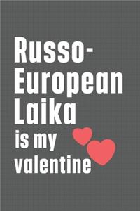 Russo-European Laika is my valentine