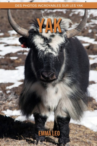 Yak