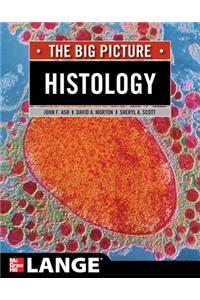 Histology: The Big Picture