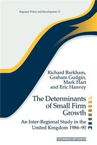 Determinants of Small Firm Growth
