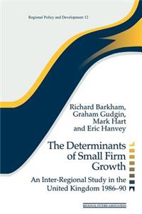 The Determinants of Small Firm Growth